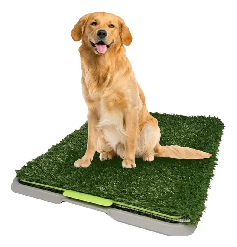 Tapete Sanitario Grande para Perros – Alfombra de Pasto Sintético con Bandeja | Entrenamiento en Interior y Balcón