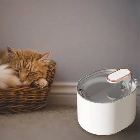 Bebedero Automático para Gatos – Fuente de Agua Silenciosa con Filtro